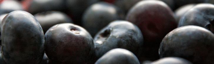 2. Modré a fialové ovoce -  maliny, borůvky, švestky a ostružiny  