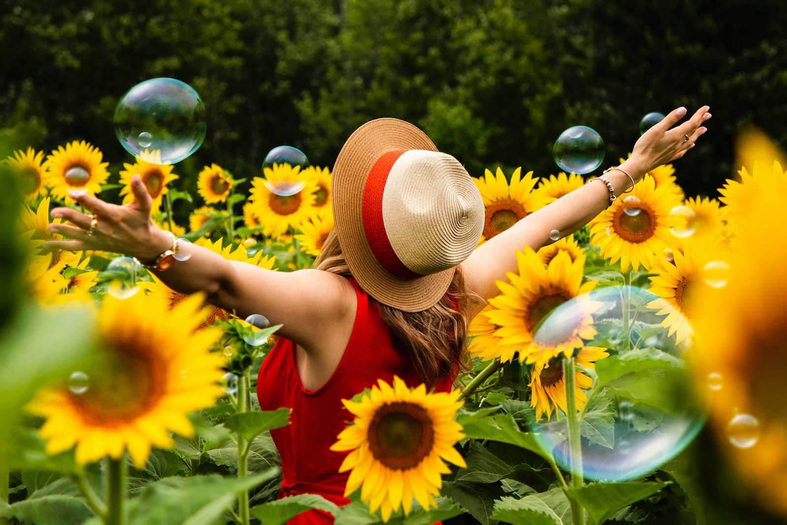 woman standing on sunflower field